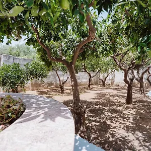 Angolo 31 Trapani